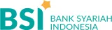 BSI VA - ZANNPAY